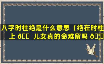 八字时柱绝是什么意思（绝在时柱上 🐠 儿女真的命难留吗 🦅 ）